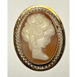 Vintage Gold Tone Cameo Style Brooch J-2L